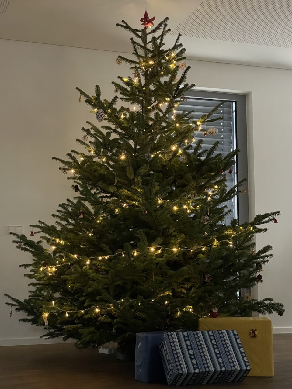 A Plätzchen a day keeps the Weihnachtsstress away …